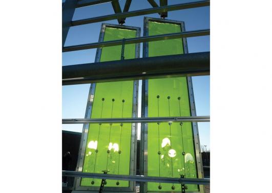 SolarLeaf algae façade panels at BIQ House Hamburg © ColtArupSCC