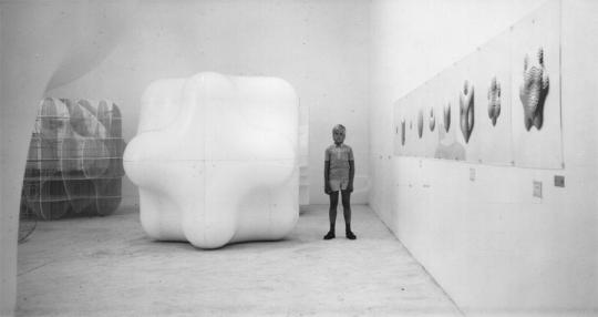 Jan Slothouber & William Graatsma at Venice Biennial 1970