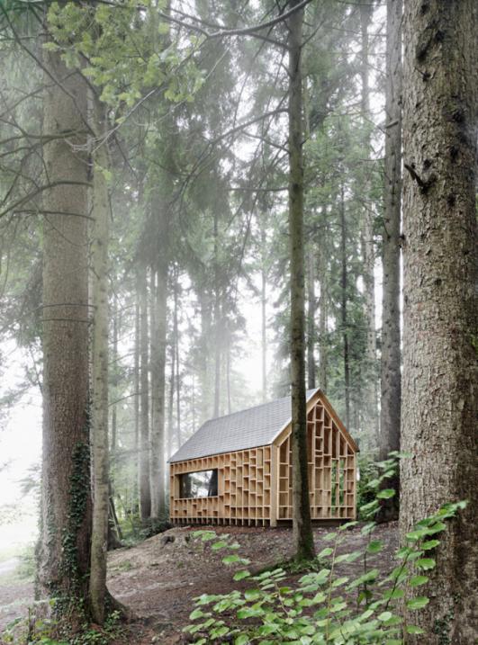 Woodland Minimalist Cabin by Adolf Bereuter