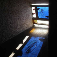 Le Corbusier’s Chapel of Notre Dame du Haut vandalised
