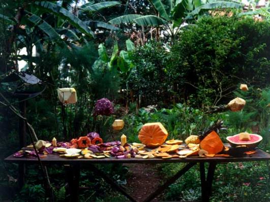 Fruit Polyhedron, film 35mm, couleur, sans son, 2’42’’, 2009. Produit par Inhotim Cultural Center, Minas Gerais, Brésil © João Maria Gusmão & Pedro Paiva,